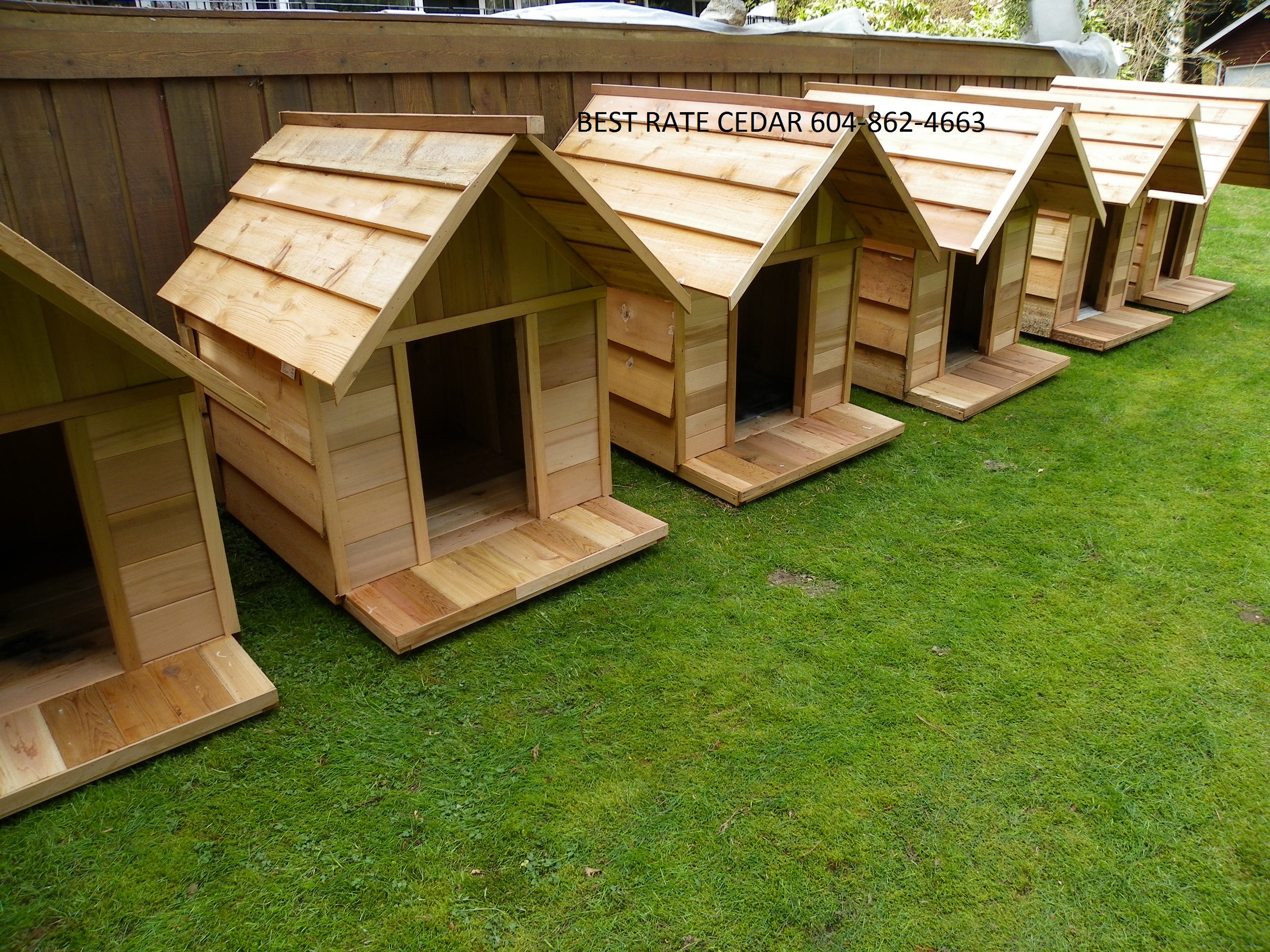 custom dog houses